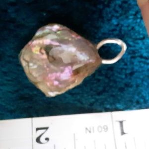 Epoxy encased vintage abalone from Shell Beach1993